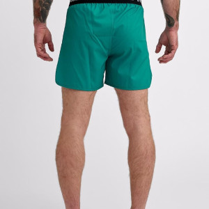 Fight Shorts Ippon Gear - Verdigris Green - Air Fight - Vert