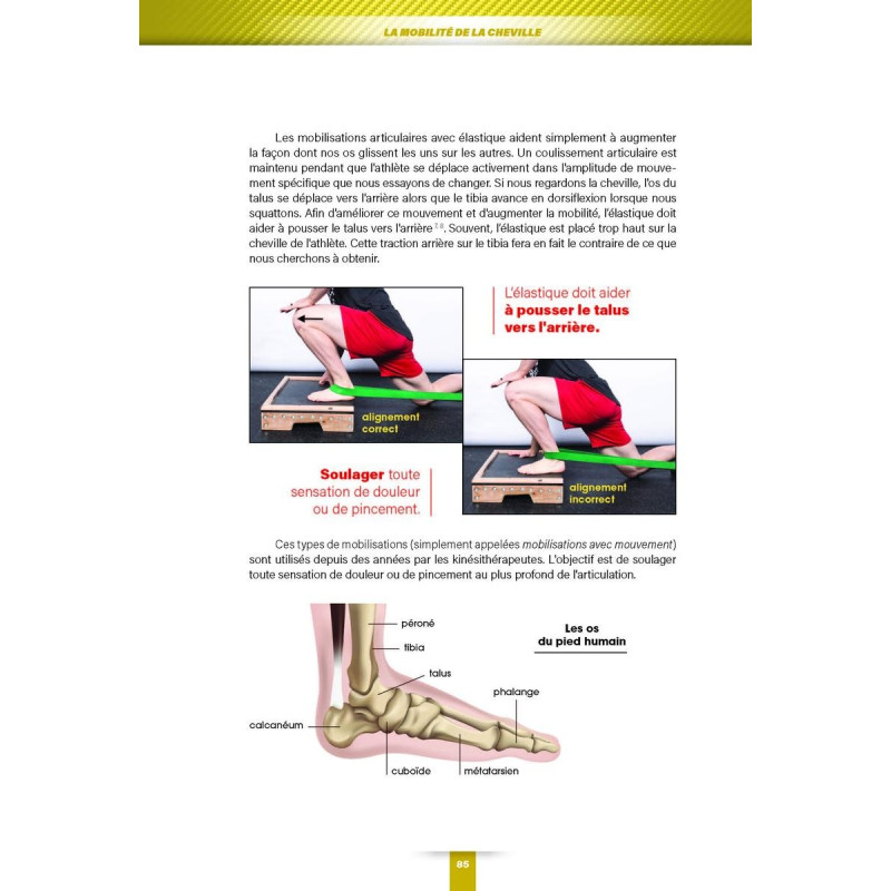 Livre La Bible du Squat 4TRAINER | Guide Technique Aaron Horschig