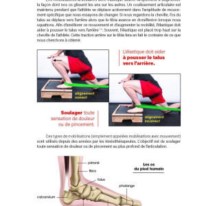 Livre La Bible du Squat 4TRAINER | Guide Technique Aaron Horschig