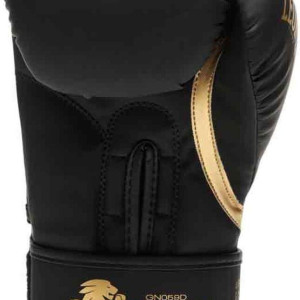 Gants de Boxe Leone1947 | Noir | Black Gold Edition