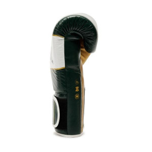 Gants de Boxe Leone1947 | Vert | Shock X