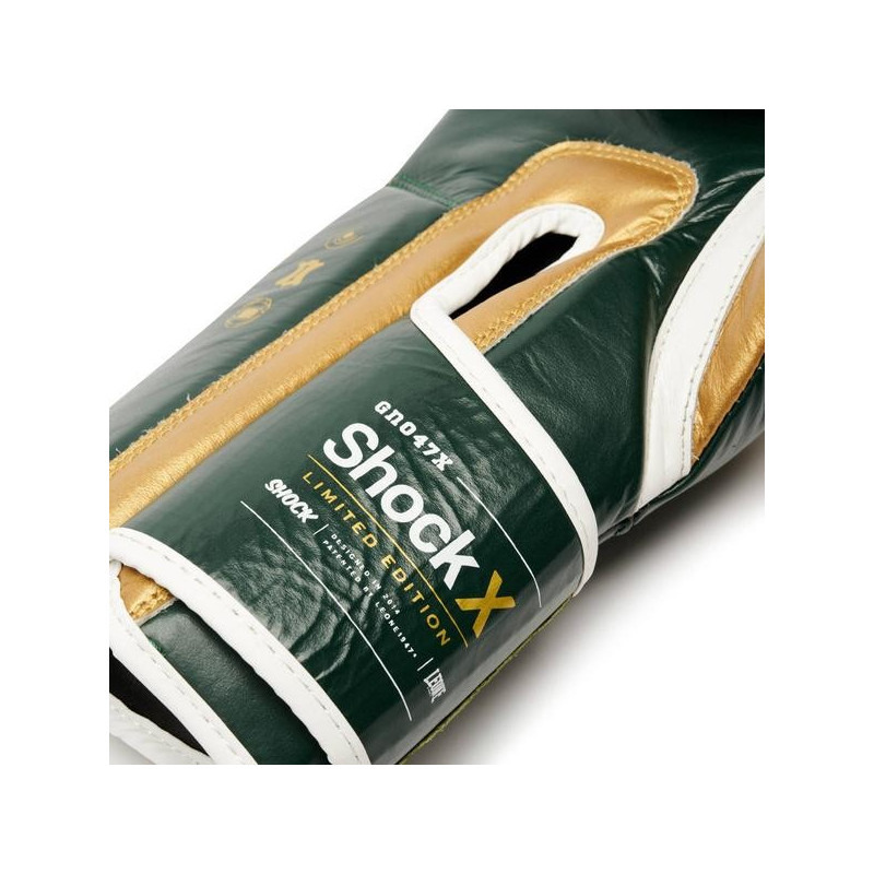 Gants de Boxe Leone1947 | Vert | Shock X