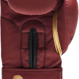 Gants de Boxe Leone1947 | Bordeaux | Edition Bordeaux