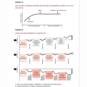 Livre Périodisation 4TRAINER | Théorie et Méthodologie Entraînement Tudor Bompa
