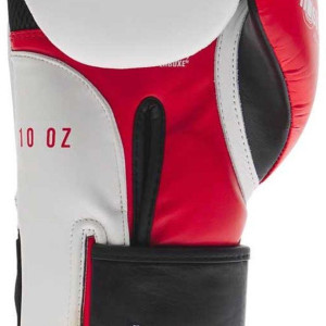 Gants de Boxe Leone1947 | Blanc | Il Tecnico N°3