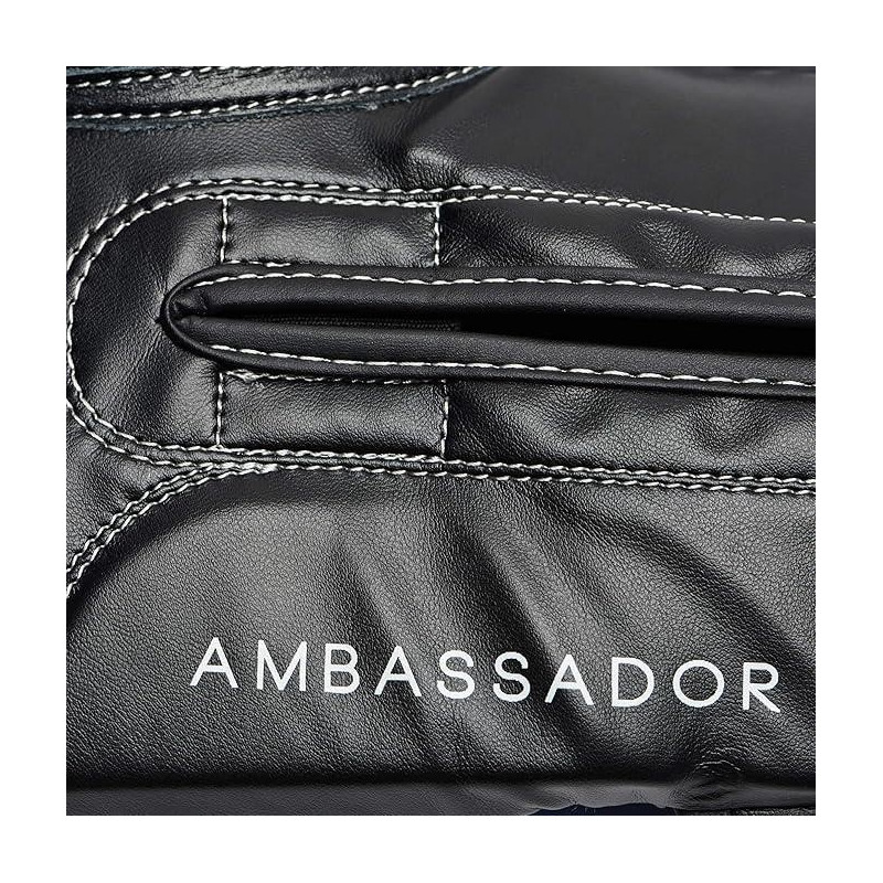 Gants de Boxe Leone1947 | Rouge | AMBASSADOR