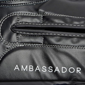 Gants de Boxe Leone1947 | Rouge | AMBASSADOR