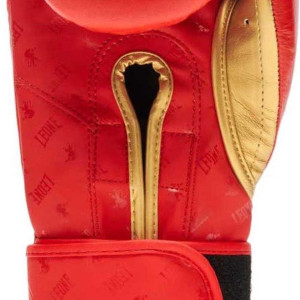 Gants de Boxe Leone1947 | Rouge | DNA