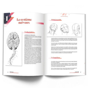 Guide Entraînement COACHING ULTIME 4TRAINER | Individualisation | Méthodes Coaching