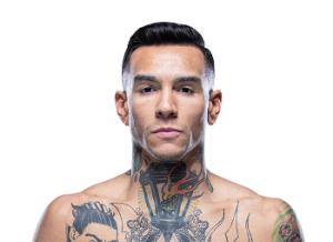 Andre Fili