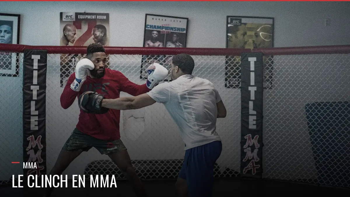 Le clinch en MMA