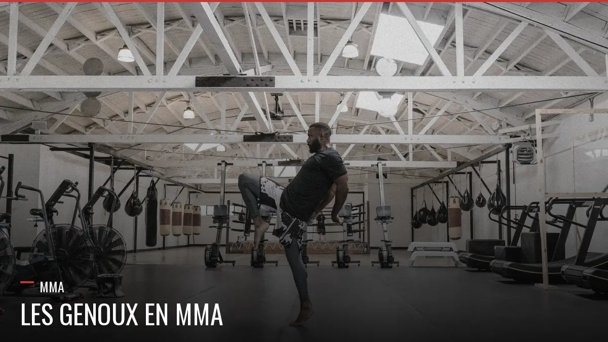 Genoux en MMA