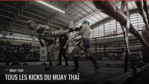 Guide des kicks en Muay Thaï