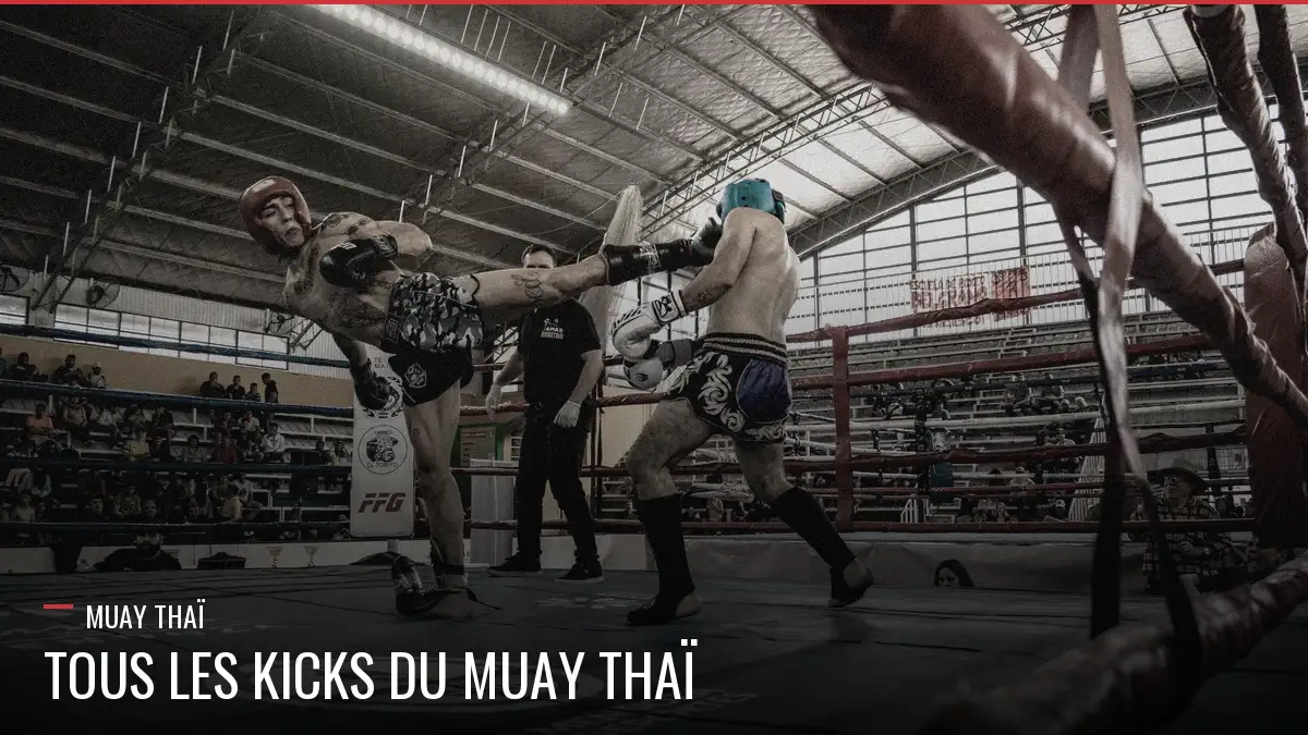 Guide des kicks en Muay Thaï