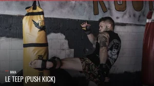 Teep push kick en MMA